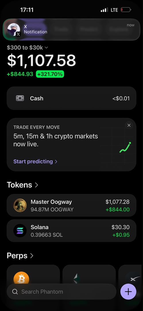 Wallet portfolio up 321.70% with Master Oogway and Solana holdings