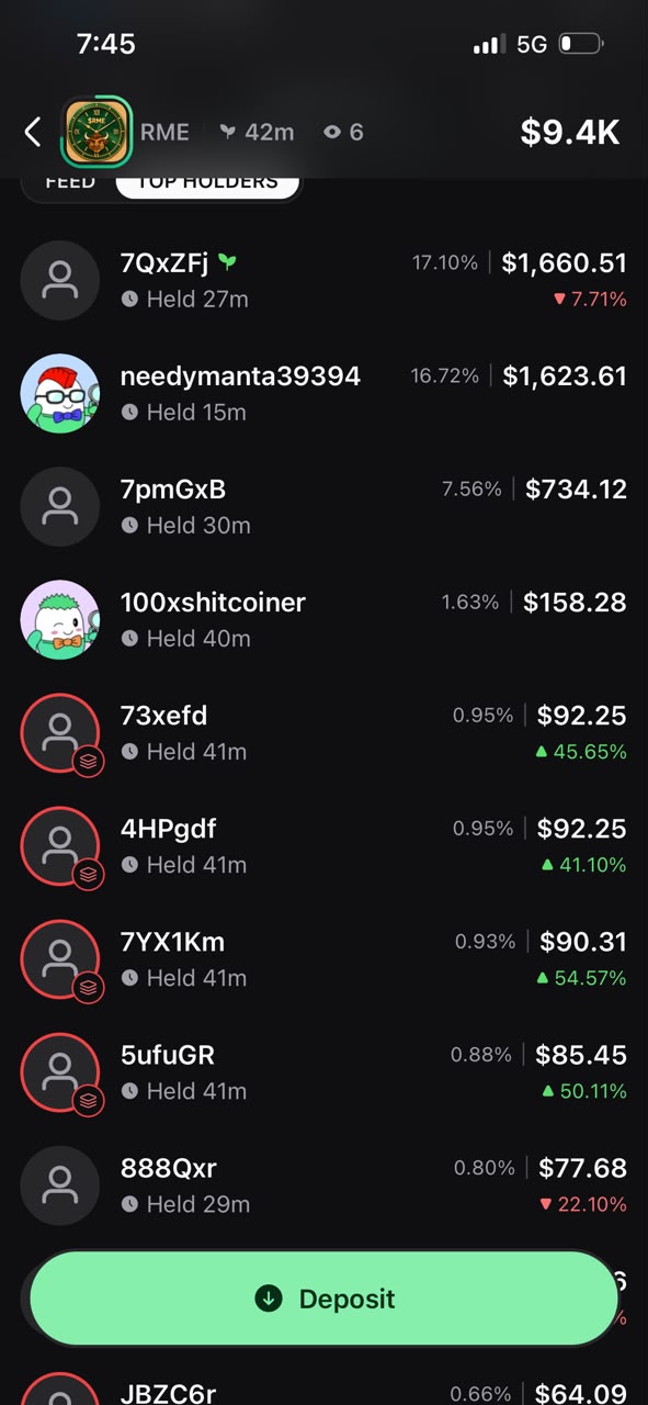 Top holders list for a Solana token showing early positions in profit